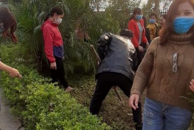 Hình ảnh cán bộ giáo viên lao động cắt tỉa vườn cây